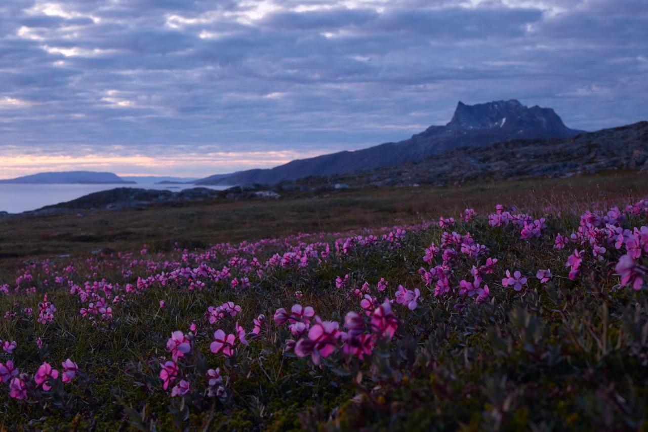 Hotel Nordbo Nuuk Extérieur photo